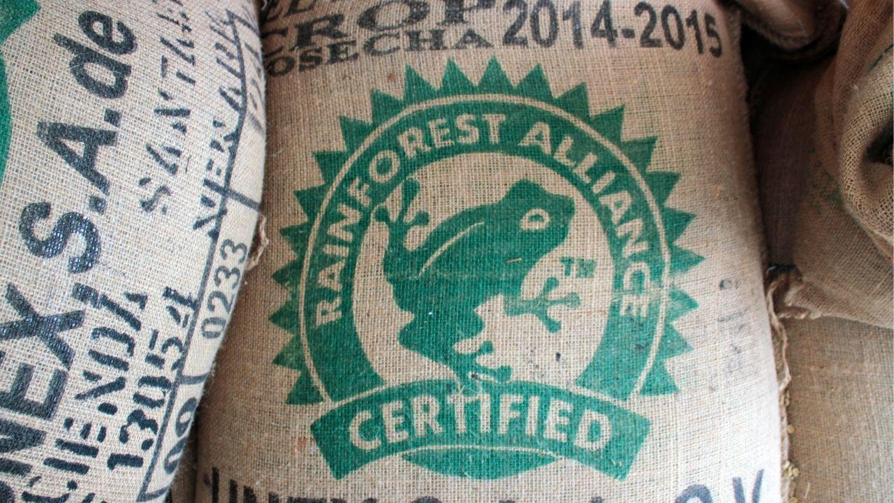 Rainforest alliance certifikácia