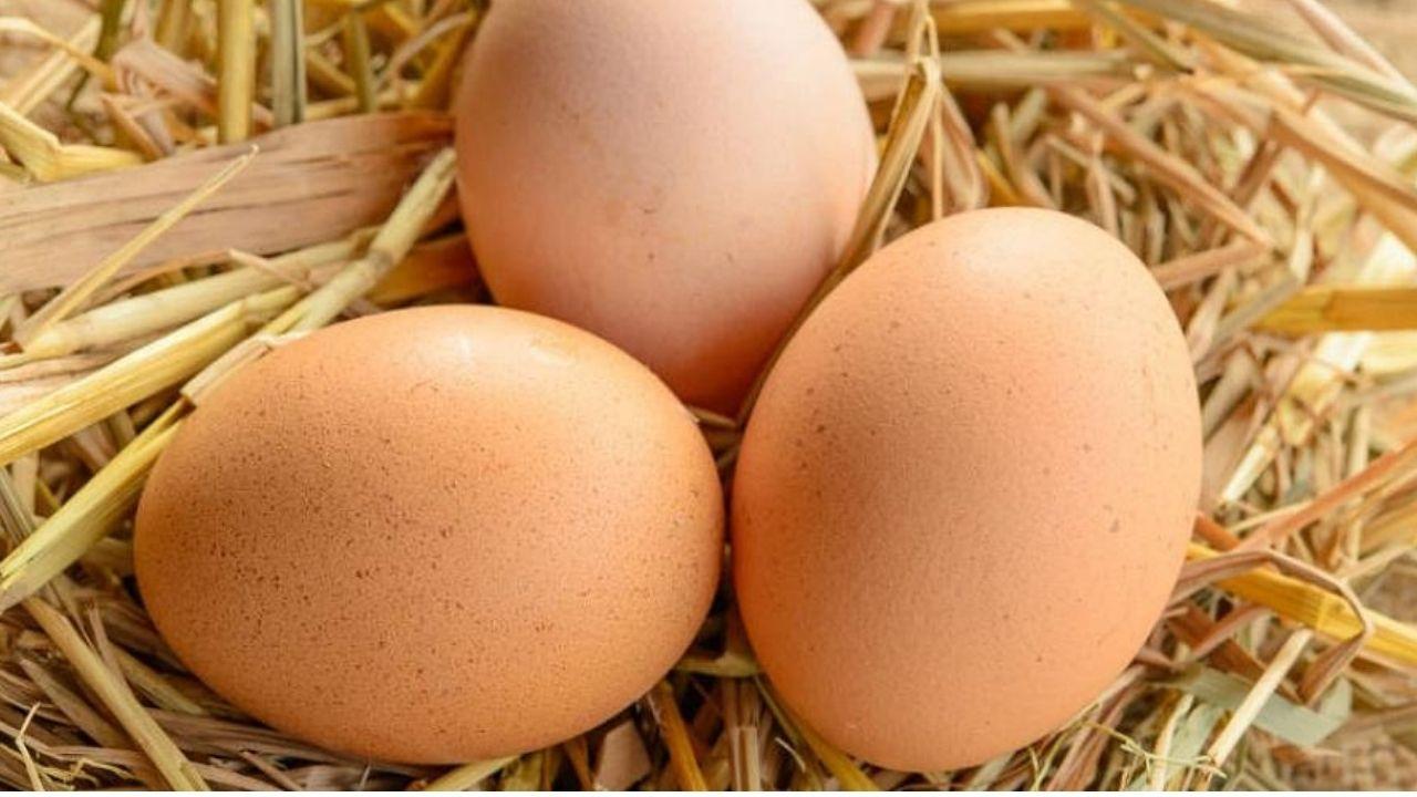 McDonald's vajíčka Babičkin dvor