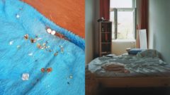 Spoločné sprchy na