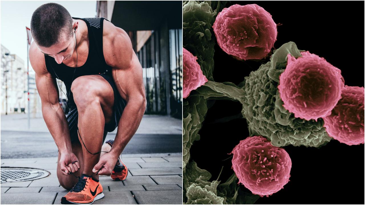 športovec viazanie šnúrok na topánkach rakovina bunky