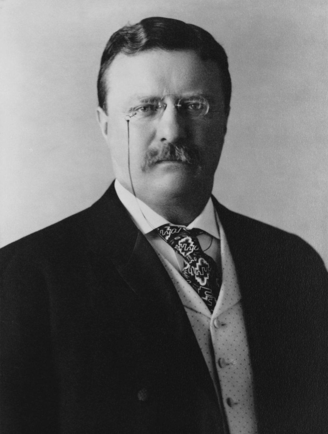 President_Theodore_Roosevelt,_1904