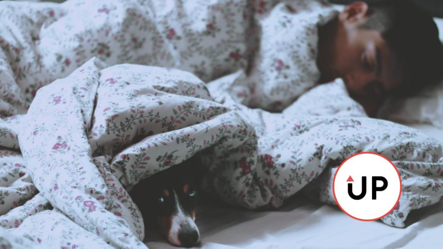 5 psychologických a vedecky overených trikov, ktoré ti pomôžu zaspať do niekoľkých minút
