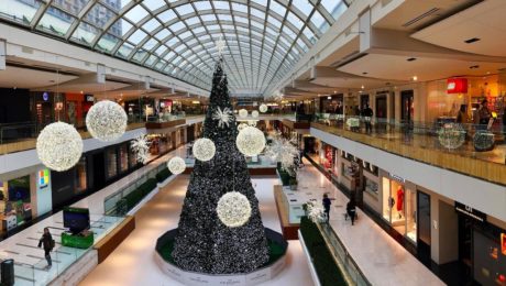 vianočný stromček, vianoce, obchod nakupovanie