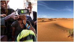 sahara, great green wall