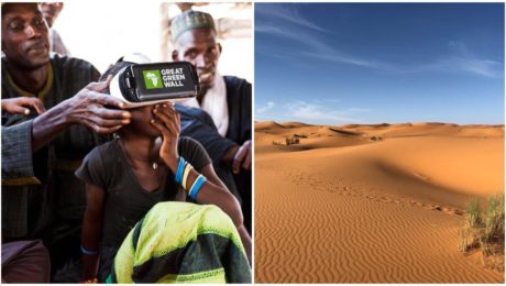sahara, great green wall