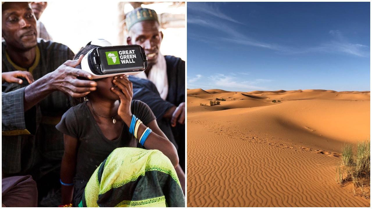 sahara, great green wall