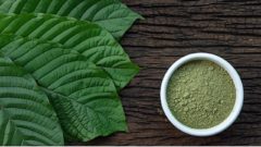 kratom