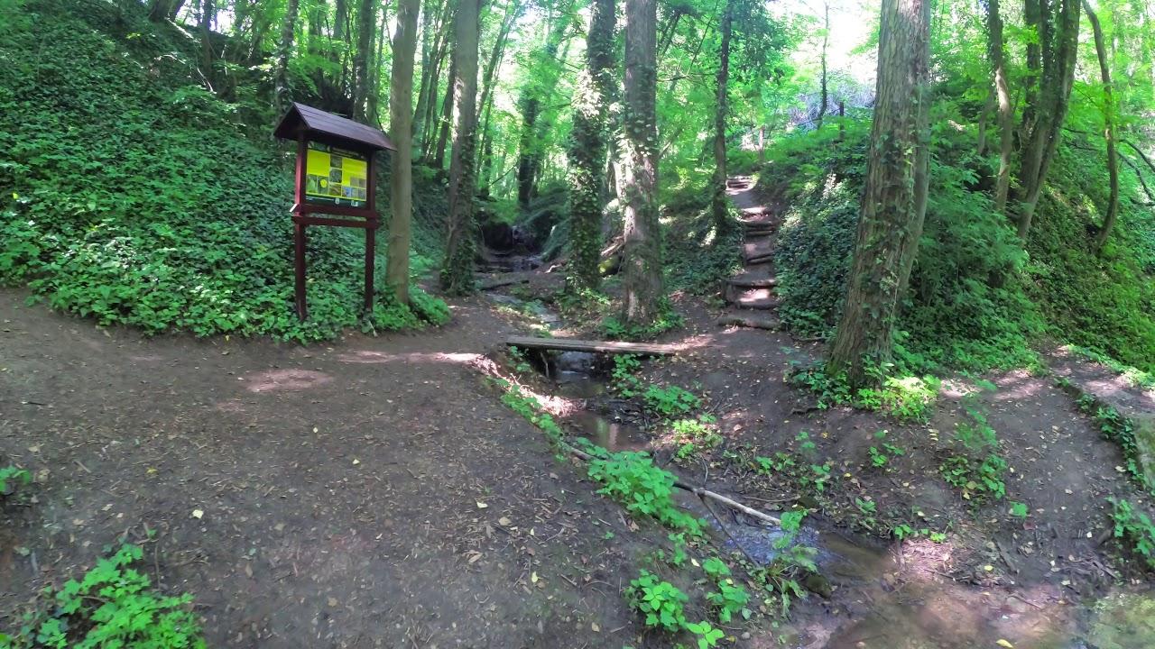 les stromy Haluzická tiesňava