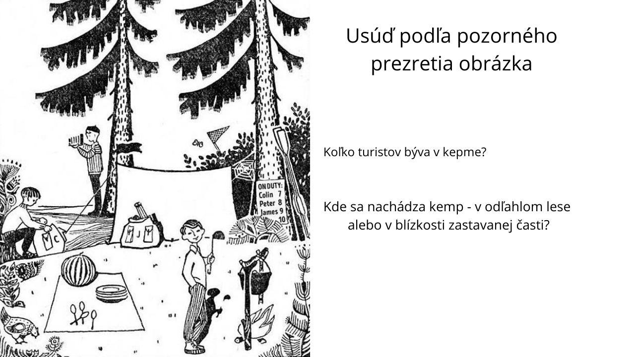 vizálna hádanka les kemp