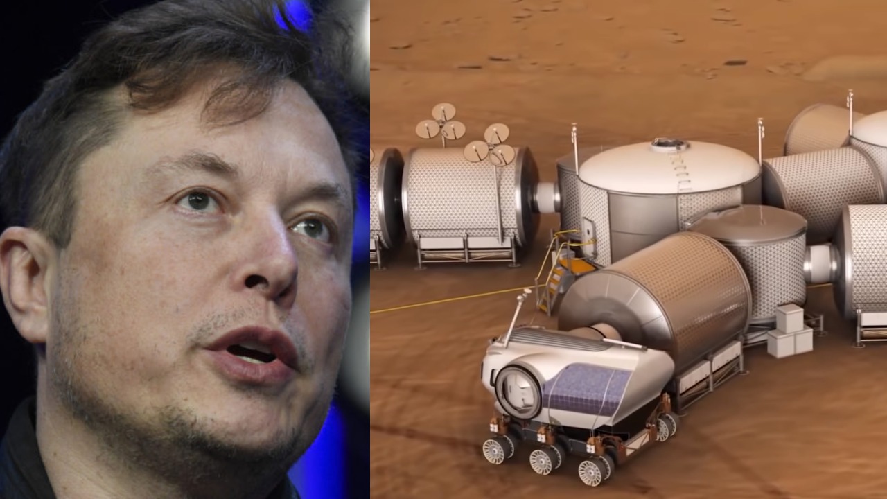 musk marsk elon