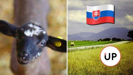 Slovenské poľnohospodárstvo je