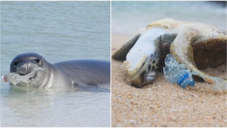 Nové štatistiky sú