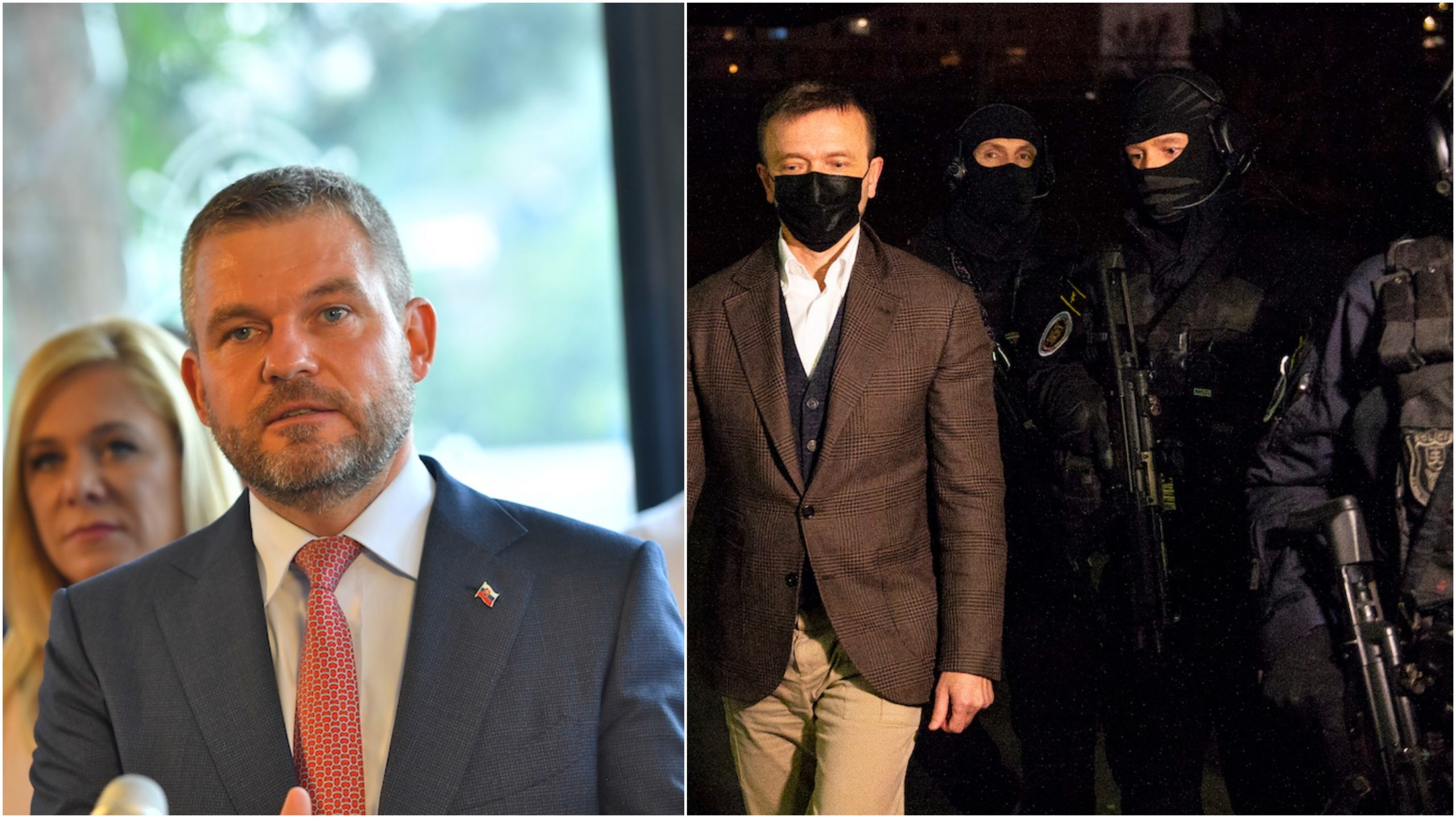 haščák pellegrini