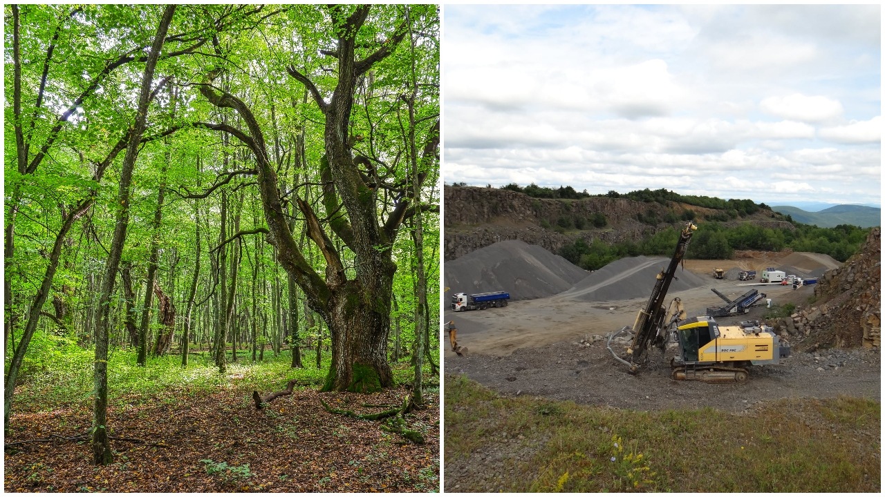 priroda, tazba cerova vrchovina