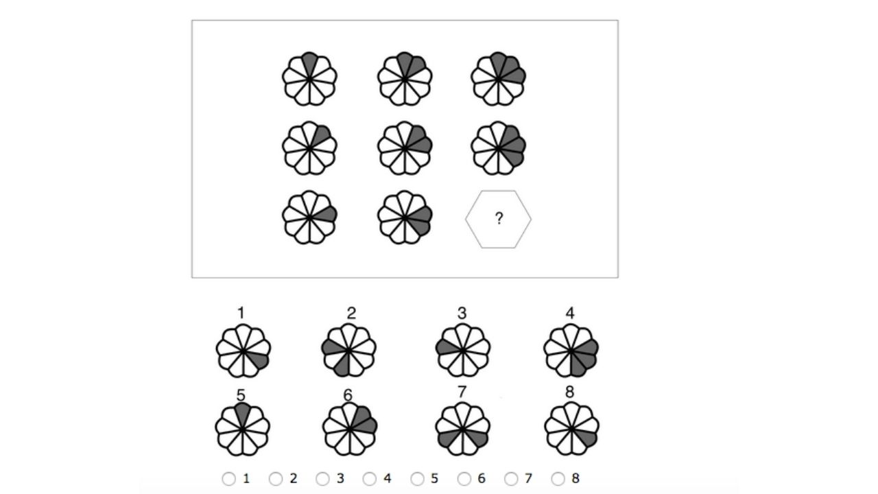Raven matrice IQ test