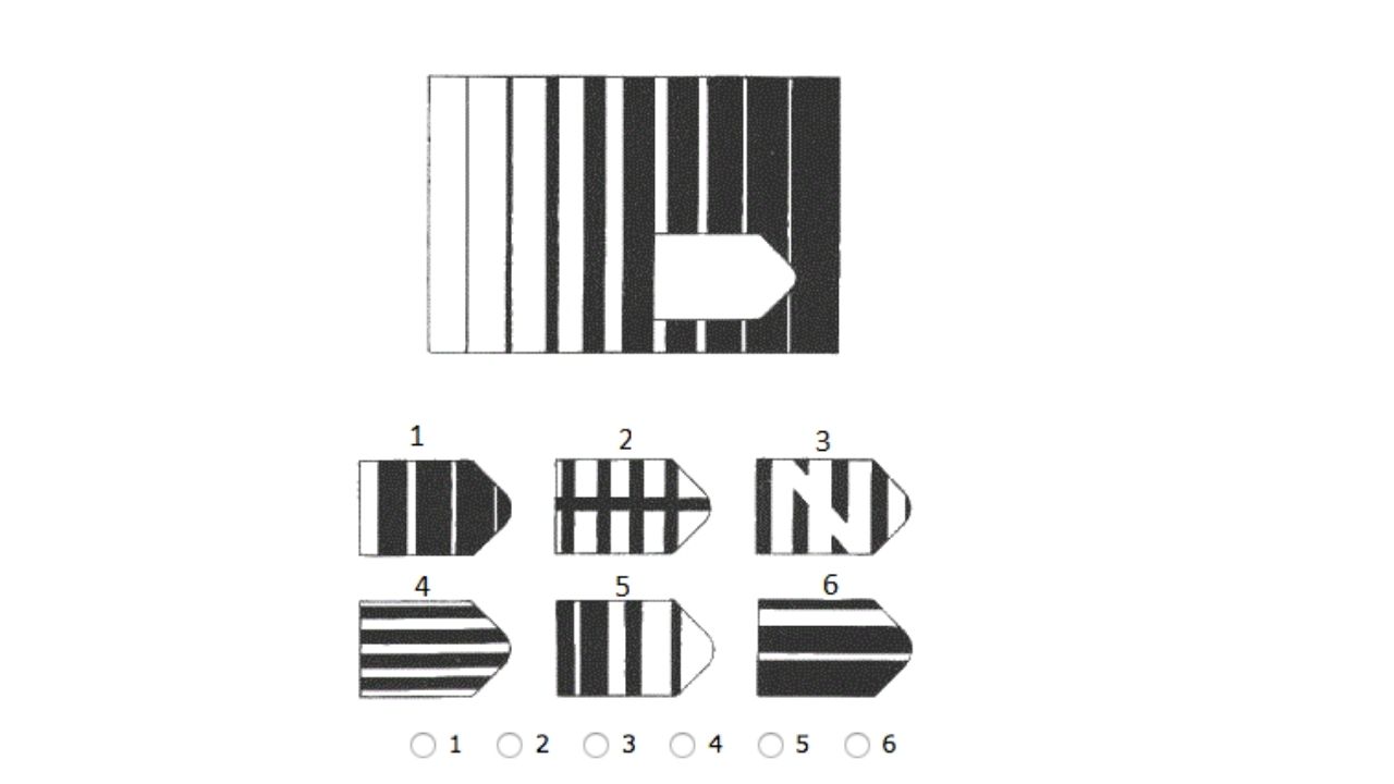 Raven matrice IQ test