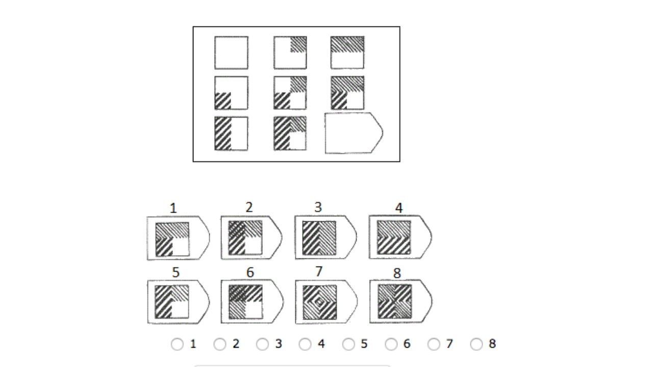 Raven matrice IQ test