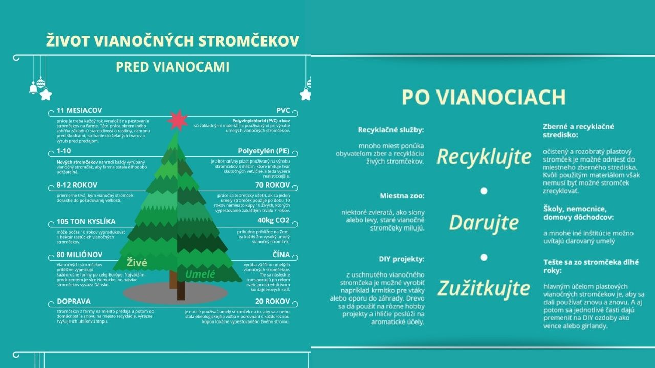 infografika vianočné stromy