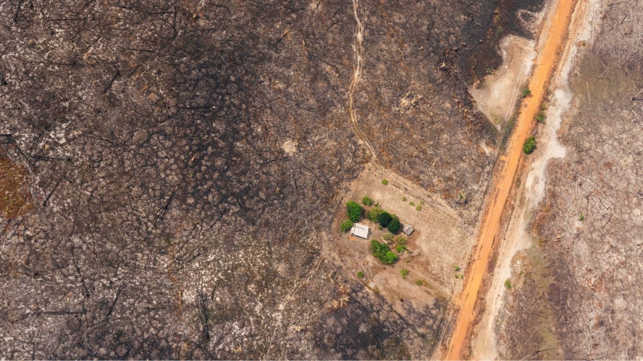 Amazónsky prales sucho