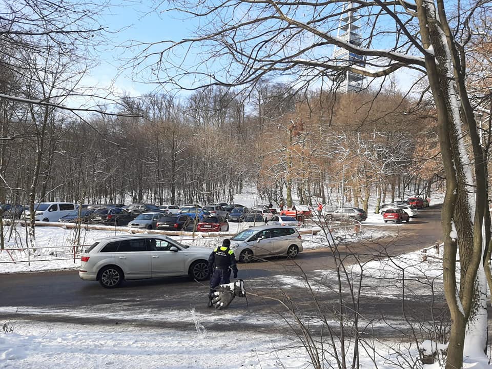 139245993_1764658147028130_1819100641961707700_n