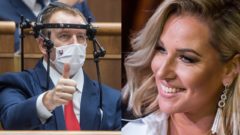 boris kollar, cibulkova