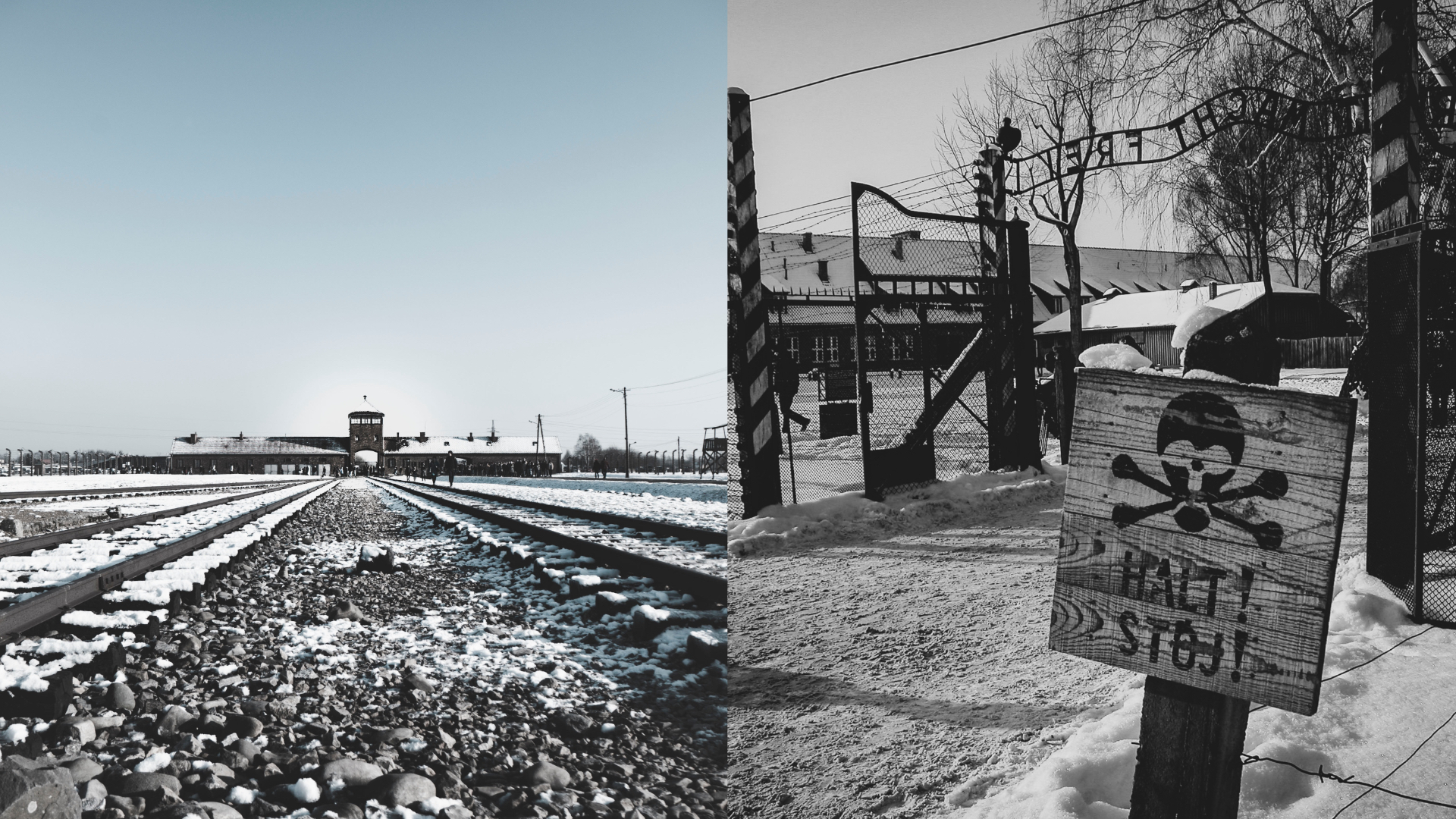 osvienčim, holokaust