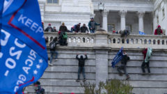 NÁZOR: Dnešní samozvaní