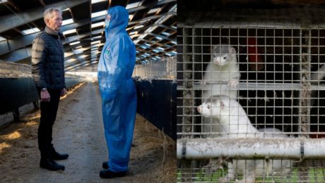 norky, humanny pokrok