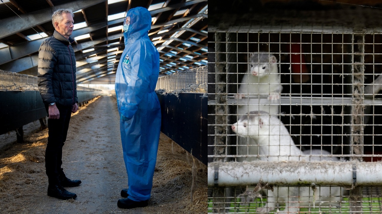 norky, humanny pokrok