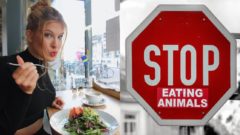 vegan, jedlo, veganka vegetarian, stop, dievča, žena