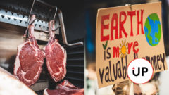 Vegánstvo zachraňuje svet,