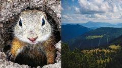 Slovensko sa dostalo