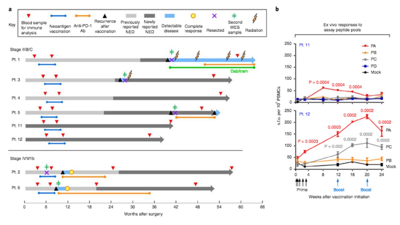 Rakovina výskum, personalizovaná vakcína
