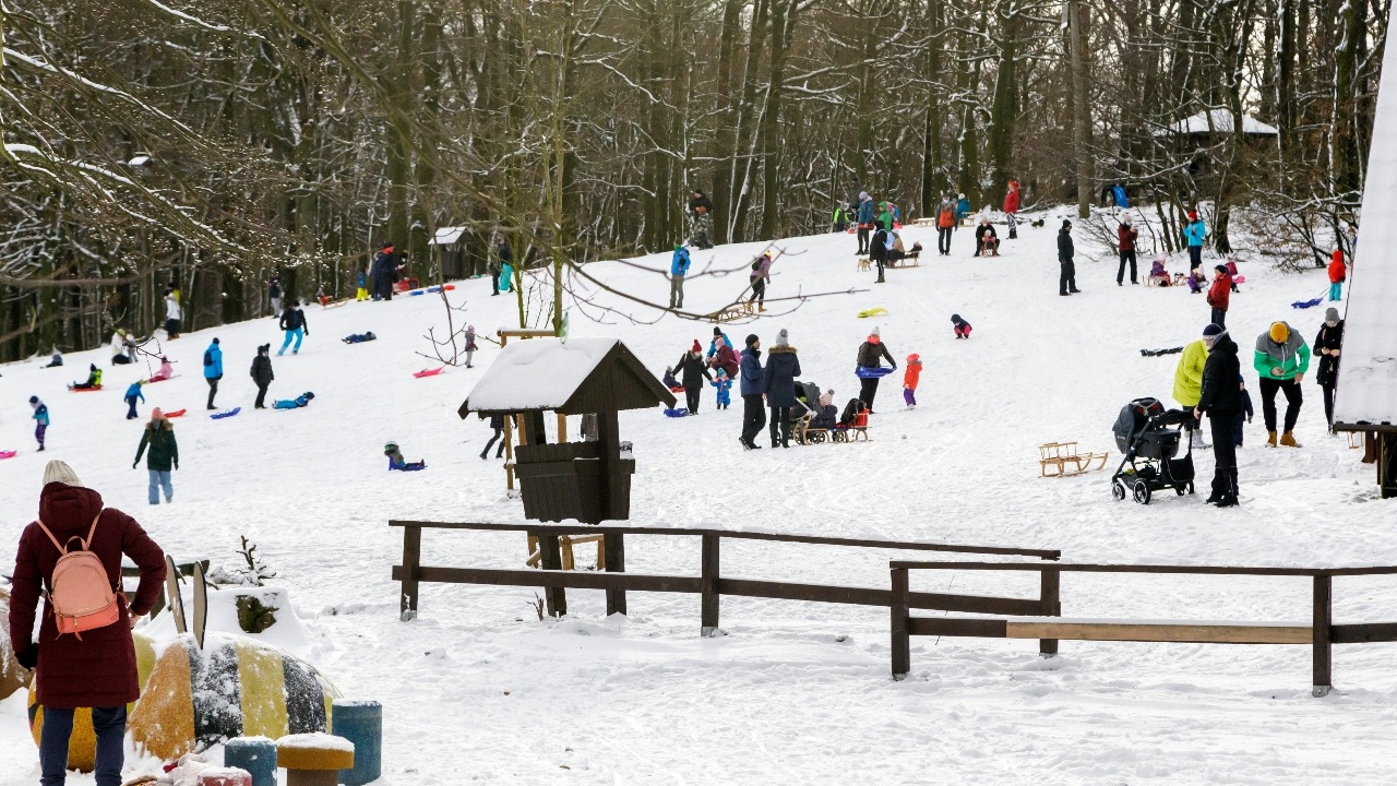 priroda, lockdown, koronavirus