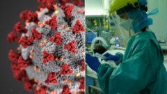 Po mutáciách prichádza