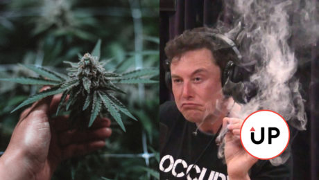 Fajčenie, Elon Musk, Marihuana