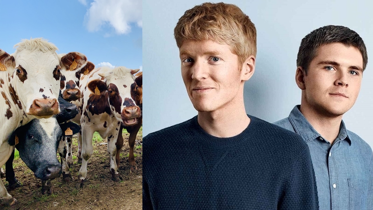 Collisonovci príbeh Startitup