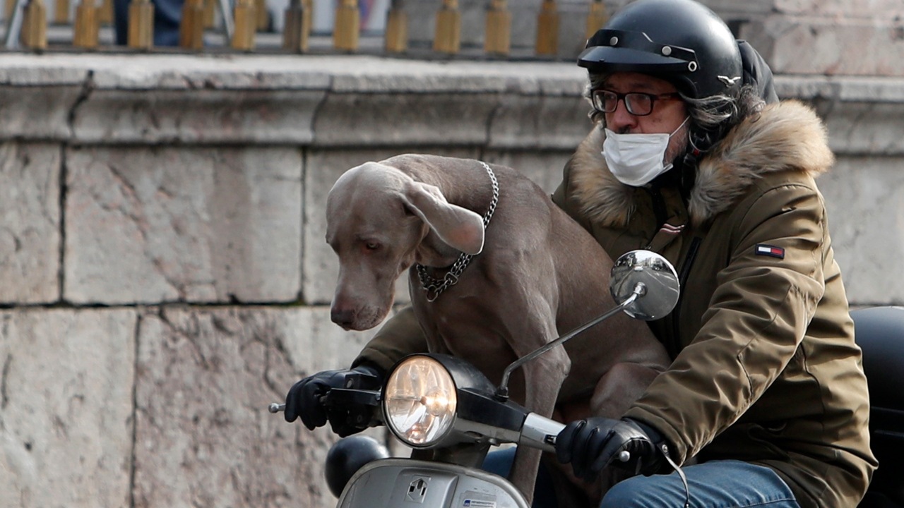 KORONAVIRUS, PANDEMIA