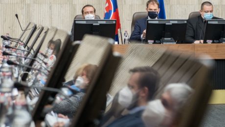 Konzílium odborníkov