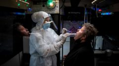 koronavirus, PCR test