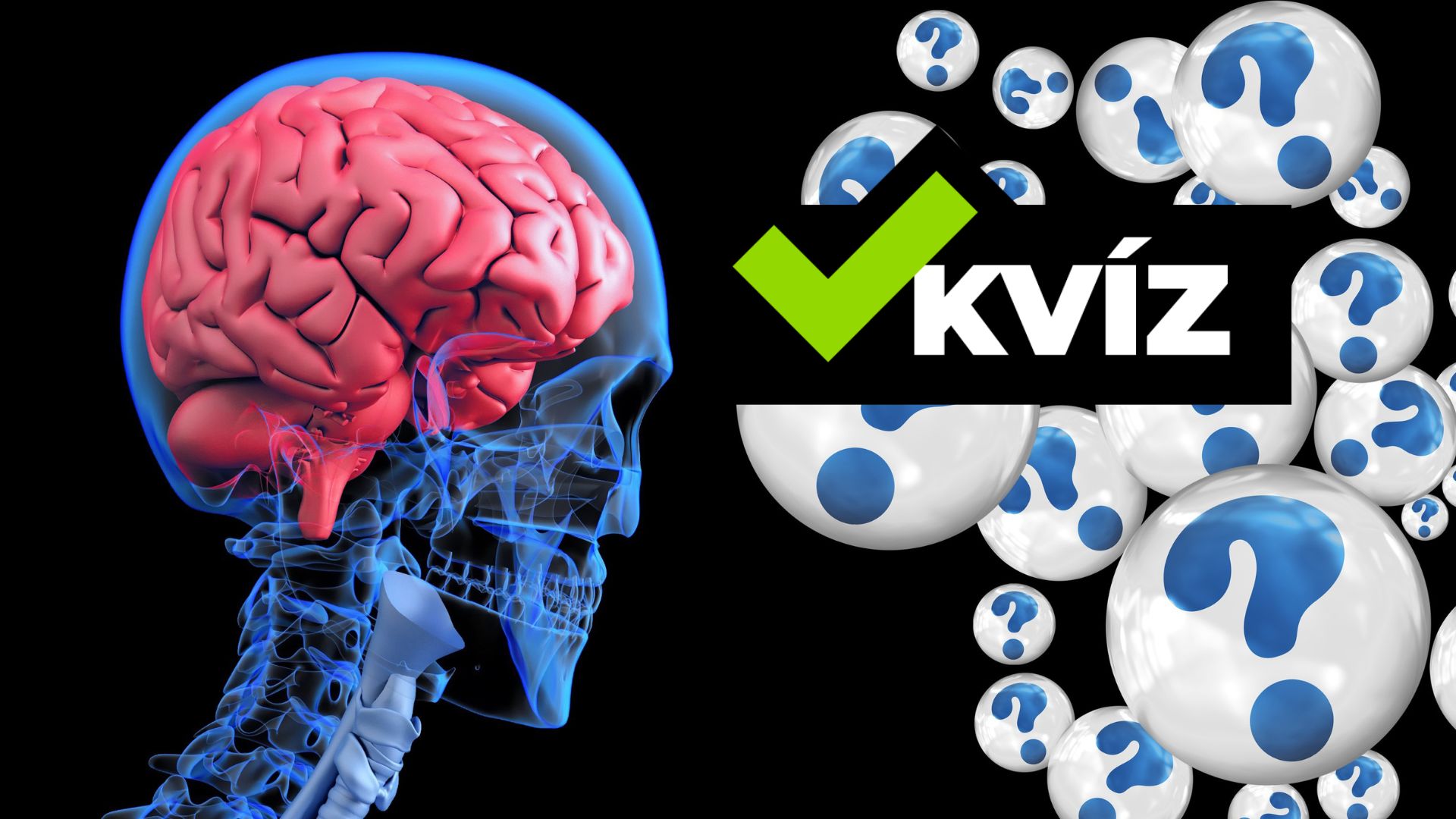 kvíz IQ test