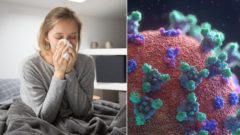 Koronavírus našiel premožiteľa.