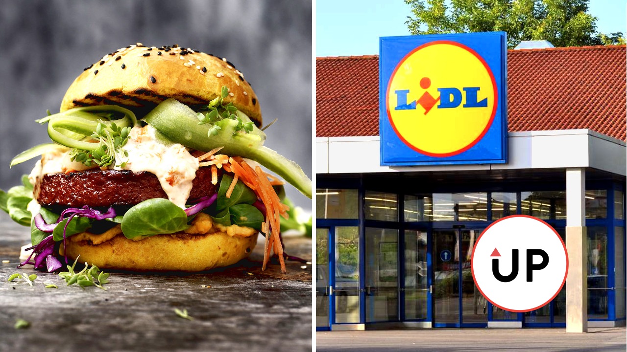 lidl8