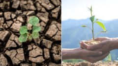 NOVÁ ŠTÚDIA: Prežívame