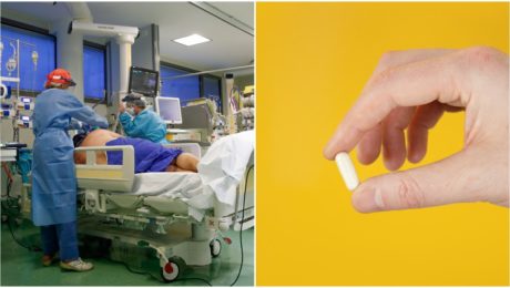 ŠTÚDIA: Zabudni na