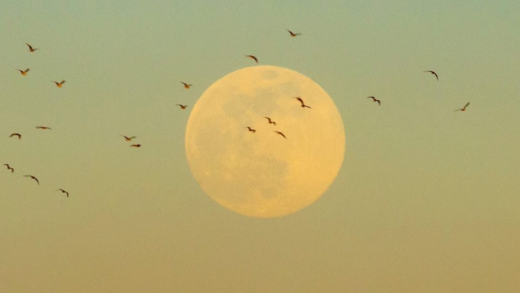 200704supermesiac_1695227