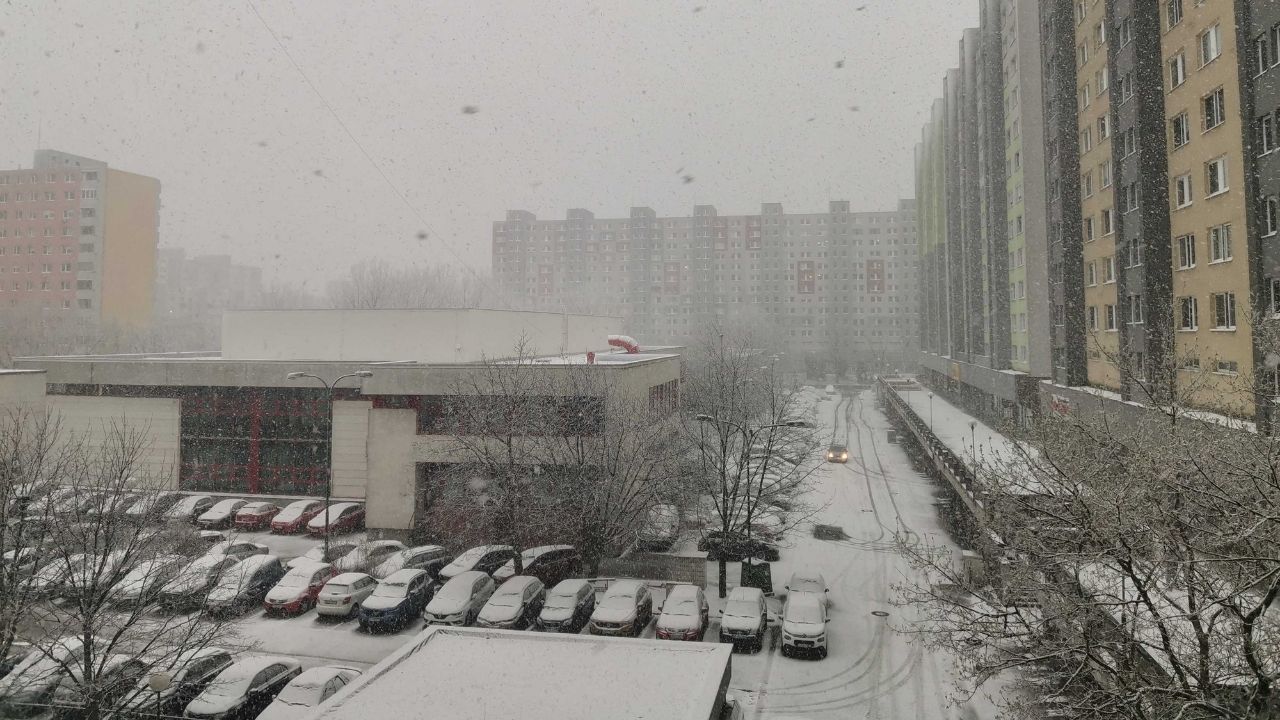 Sneh, Petržalka