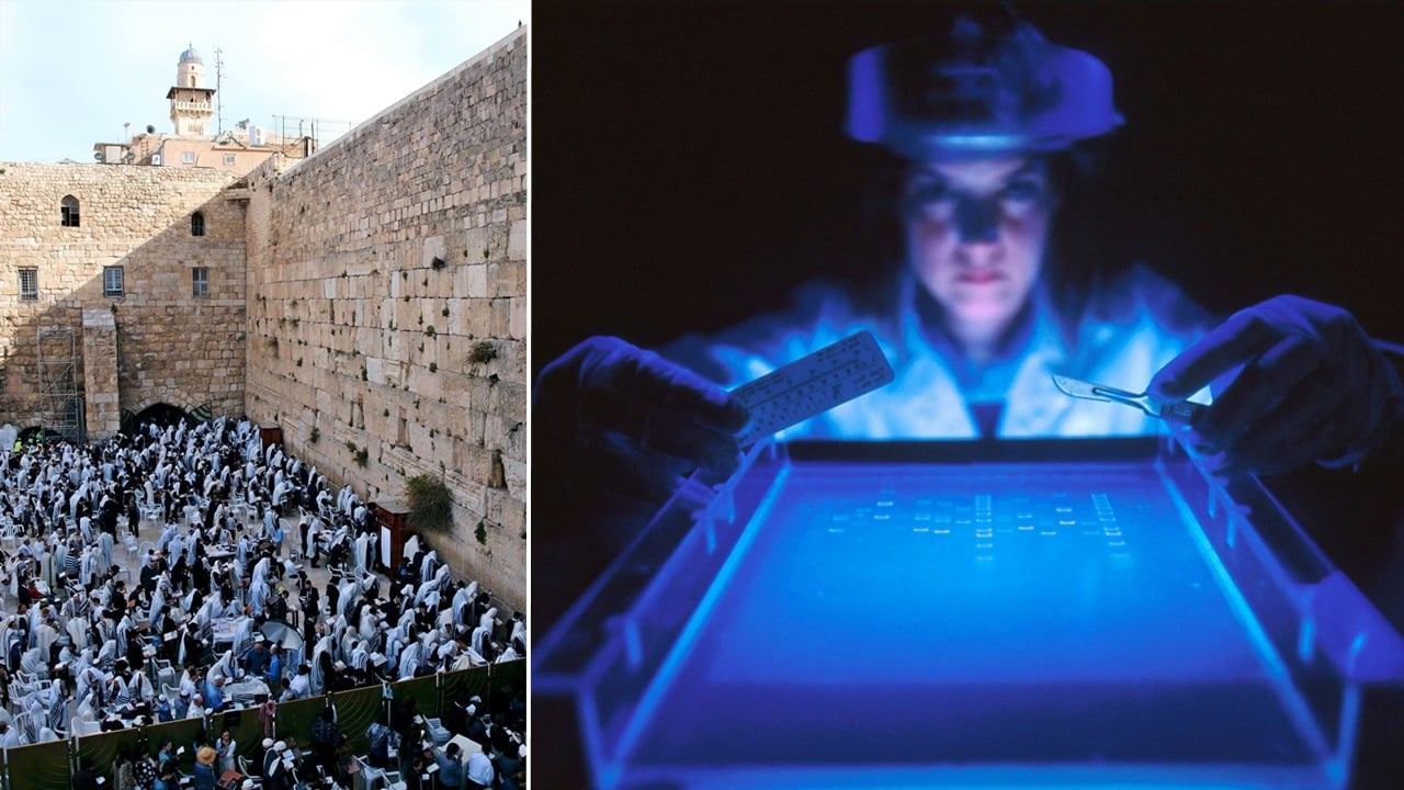 izraelskí vedci rakovina