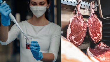 Vedci dali budúcnosti