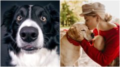 Vedci konečne dokázali,